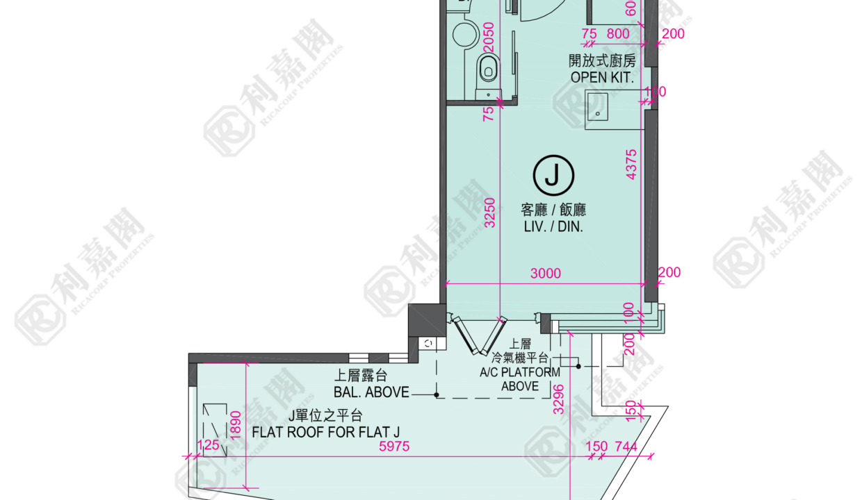 122707_2000_Ricacorp.png