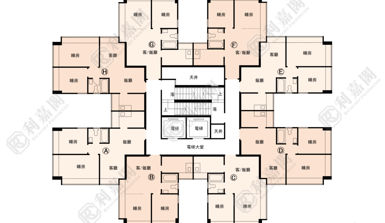 137052_2000_Ricacorp-1.png