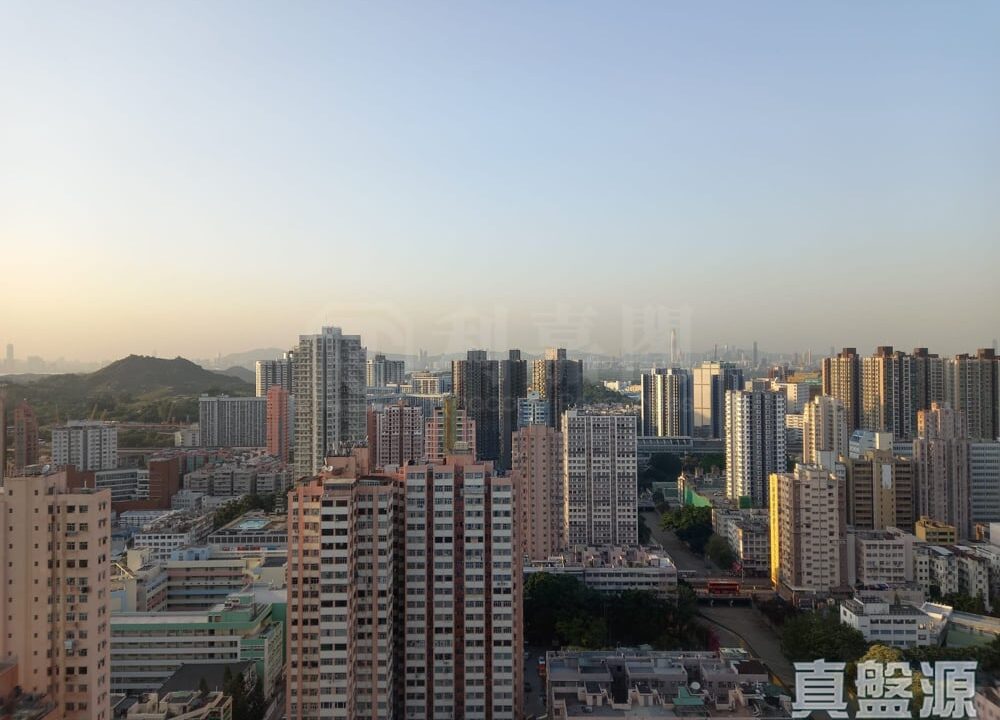 13b69573-2aed-48ef-adc4-0fff7e1efd92.jpeg