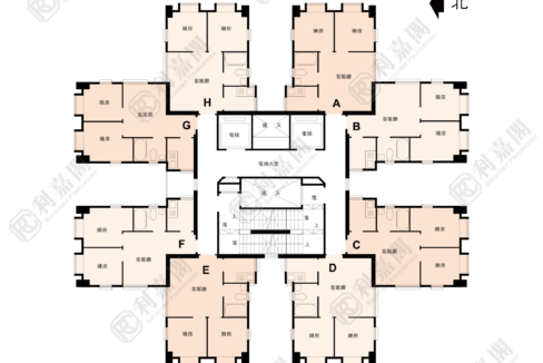 143635_2000_Ricacorp-1.png