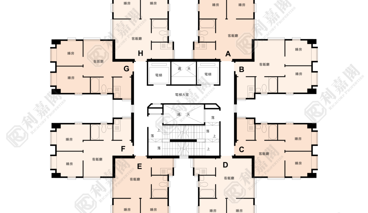 143635_2000_Ricacorp.png