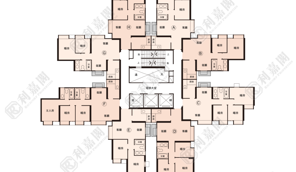 144108_2000_Ricacorp.png