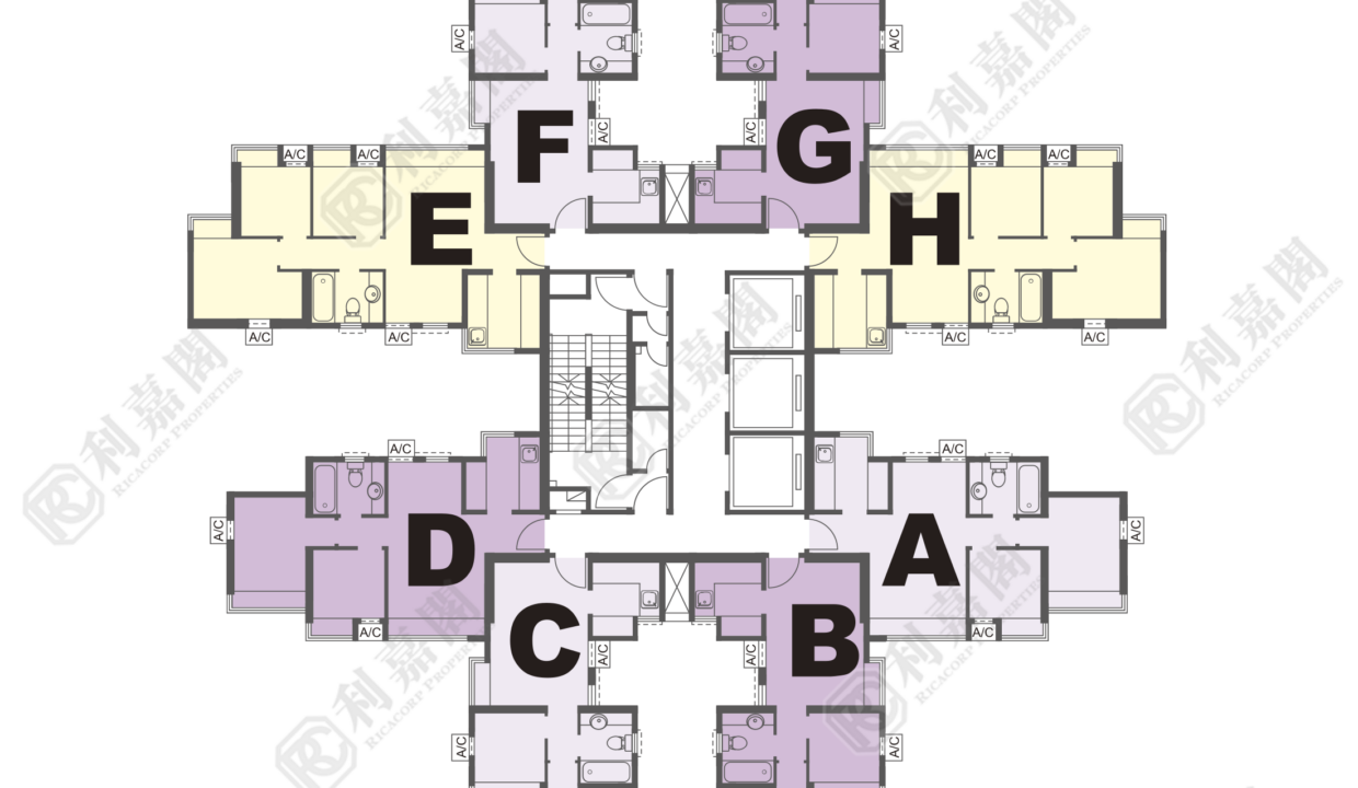 14616_2000_Ricacorp-2.png