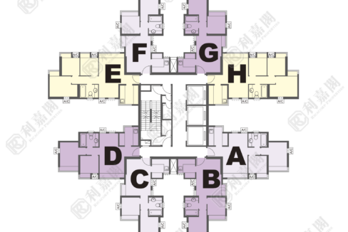 14616_2000_Ricacorp-2.png