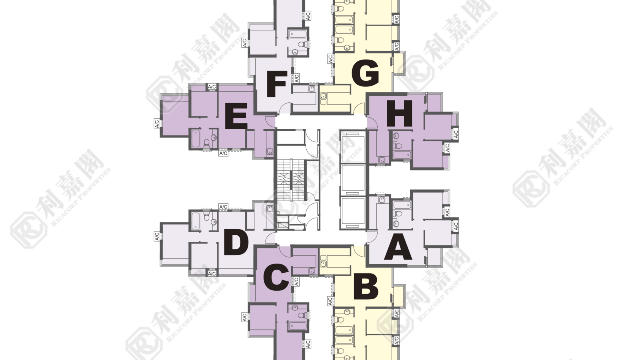 14617_2000_Ricacorp.png