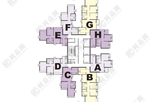 14617_2000_Ricacorp.png