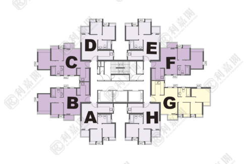 14619_2000_Ricacorp-1.png