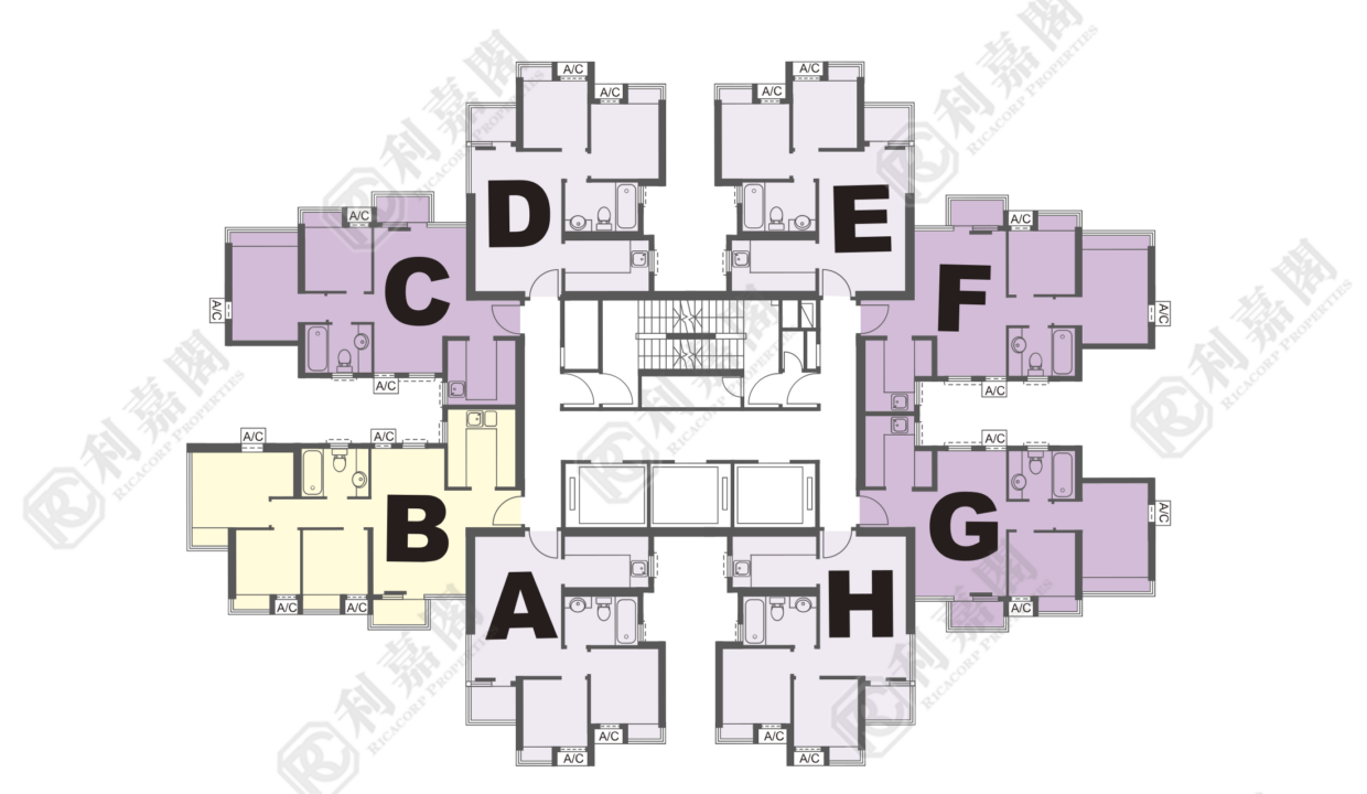 14620_2000_Ricacorp-1.png