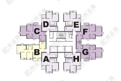 14620_2000_Ricacorp-1.png