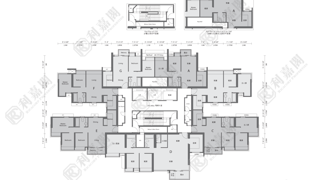 14699_2000_Ricacorp-1.png