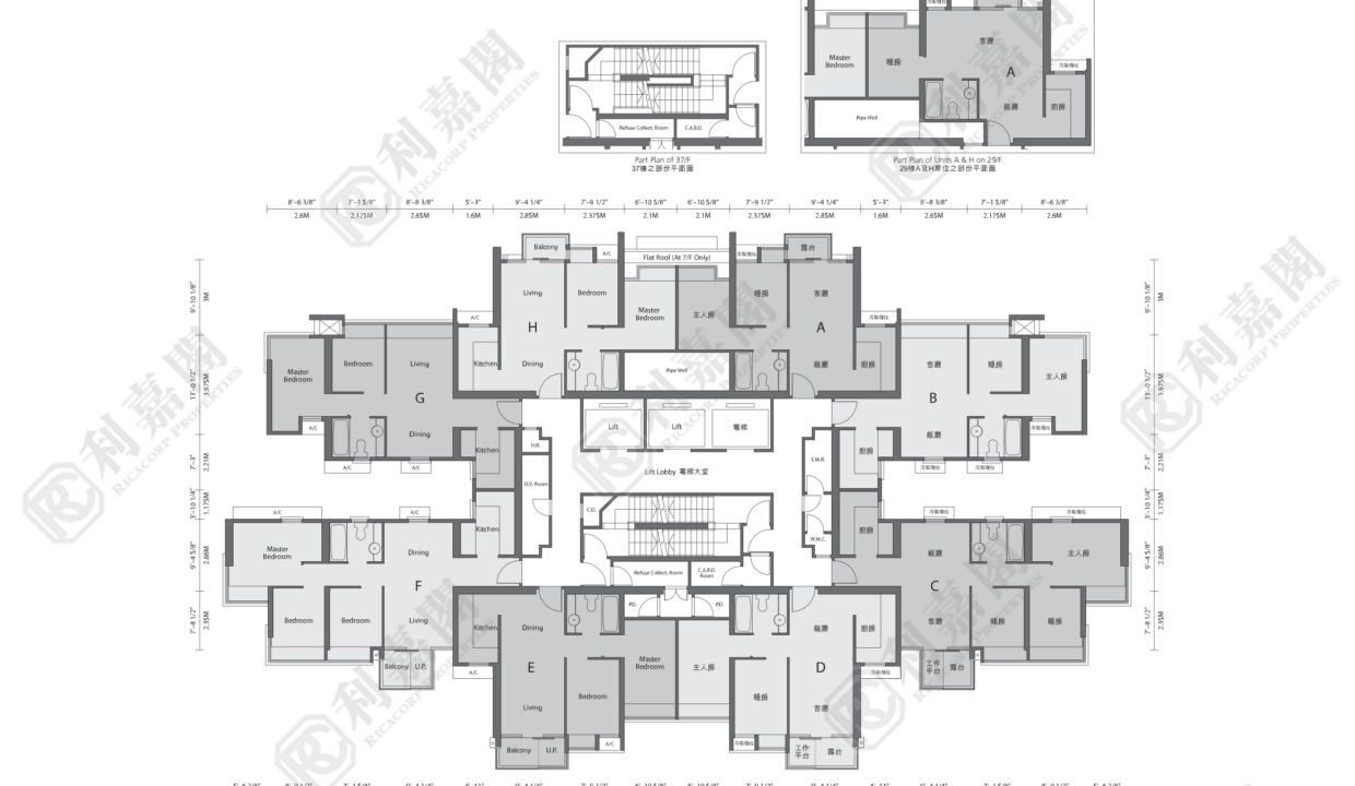 14705_2000_Ricacorp-3.png