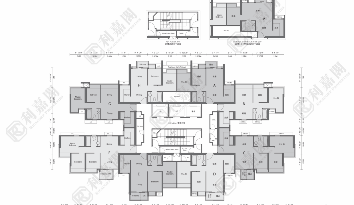 14705_2000_Ricacorp-4.png