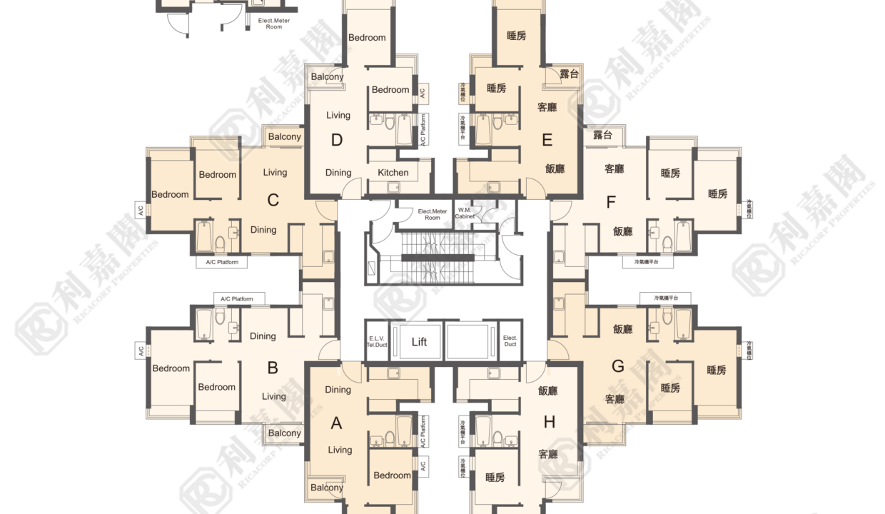 162871_2000_Ricacorp.png
