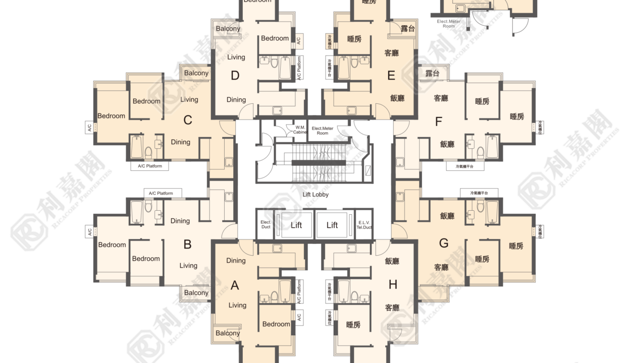 162875_2000_Ricacorp.png