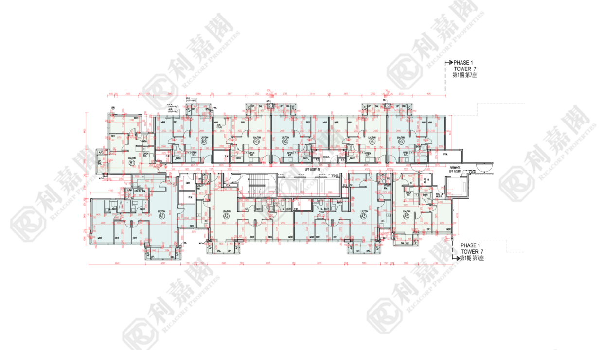 174801_2000_Ricacorp-2.png
