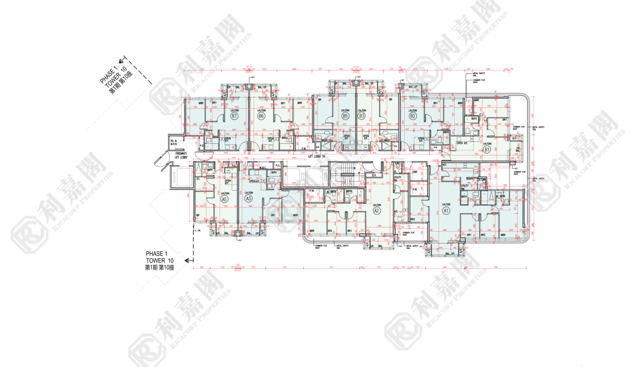174803_2000_Ricacorp-3.png