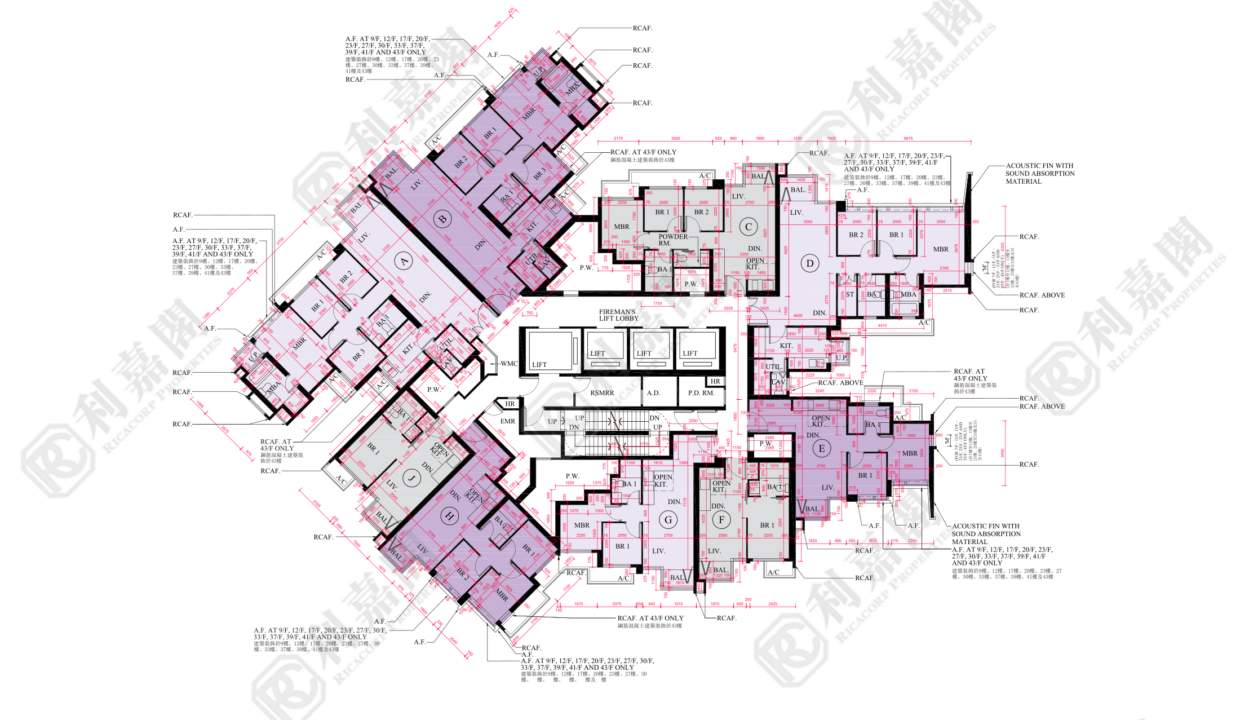 175037_2000_Ricacorp-1.png