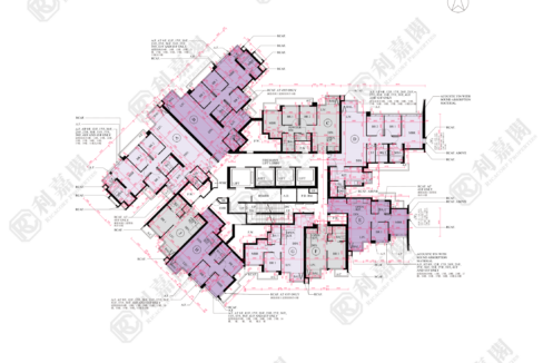 175037_2000_Ricacorp-1.png