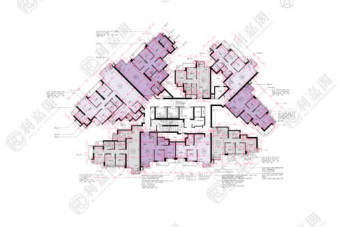 175043_2000_Ricacorp.png