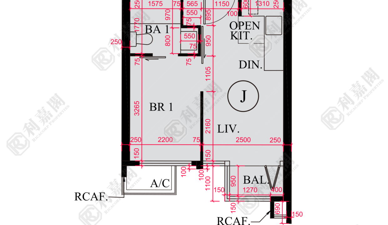 175077_2000_Ricacorp.png