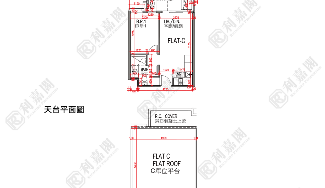 176597_2000_Ricacorp.png