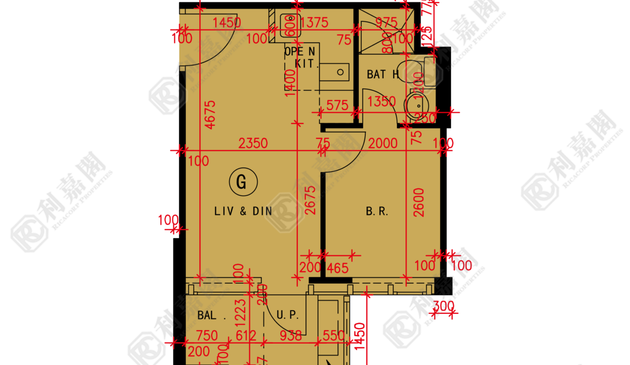 184608_2000_Ricacorp-2.png