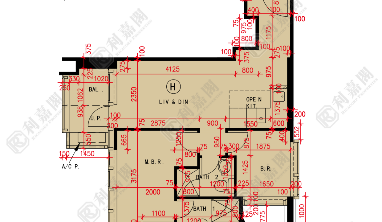 184620_2000_Ricacorp-1.png