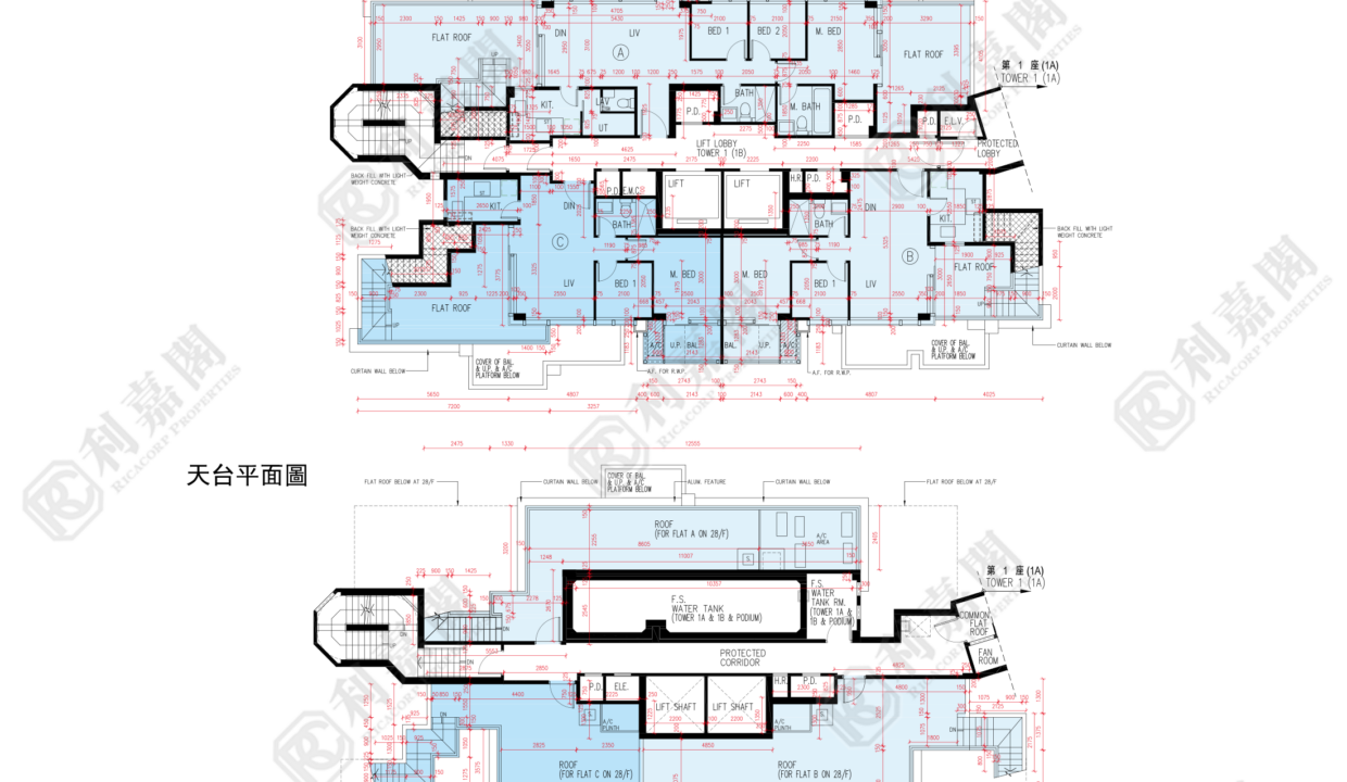 190202_2000_Ricacorp-2.png