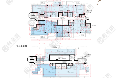 190202_2000_Ricacorp-2.png