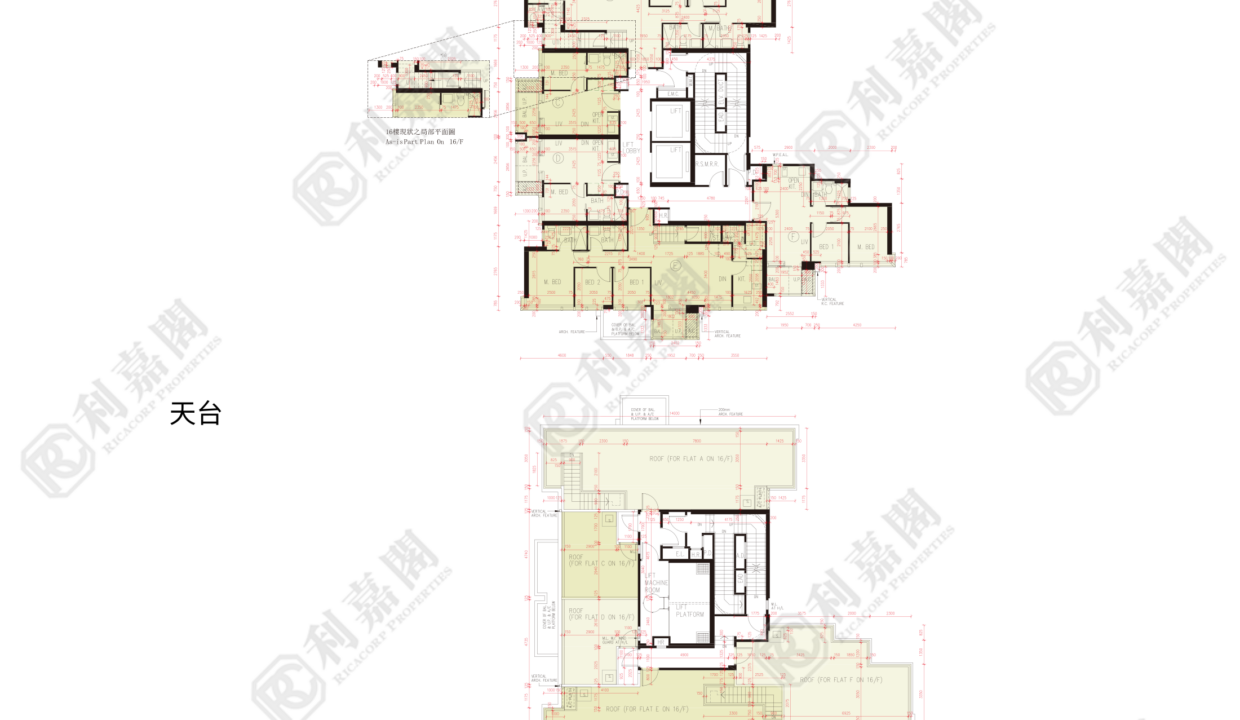 191003_2000_Ricacorp-1.png