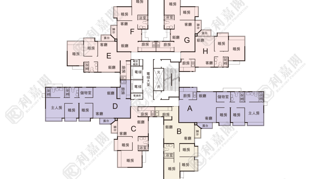 20288_2000_Ricacorp.png