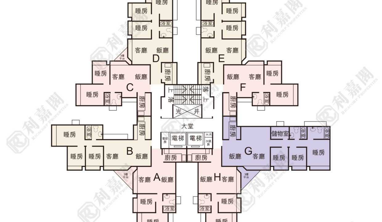 21309_2000_Ricacorp.png