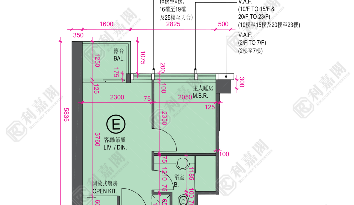34125_2000_Ricacorp.png