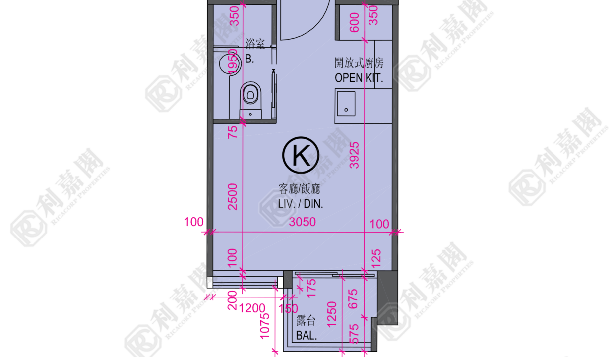 34132_2000_Ricacorp.png