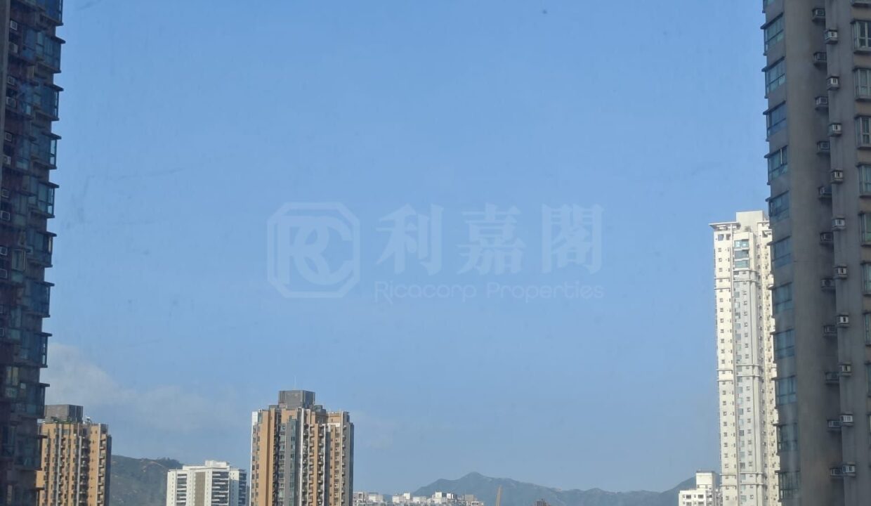3849004d-e4b8-4421-a76b-4250fe189b6d.jpeg