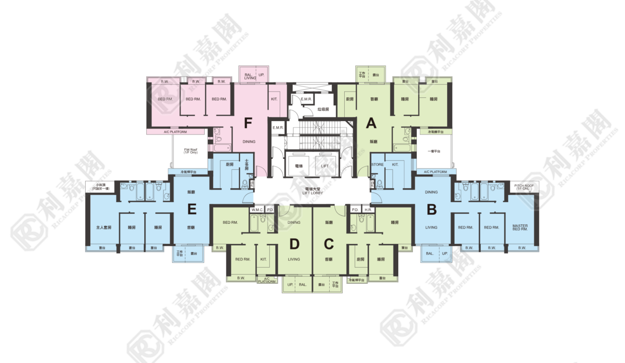 39020_2000_Ricacorp.png
