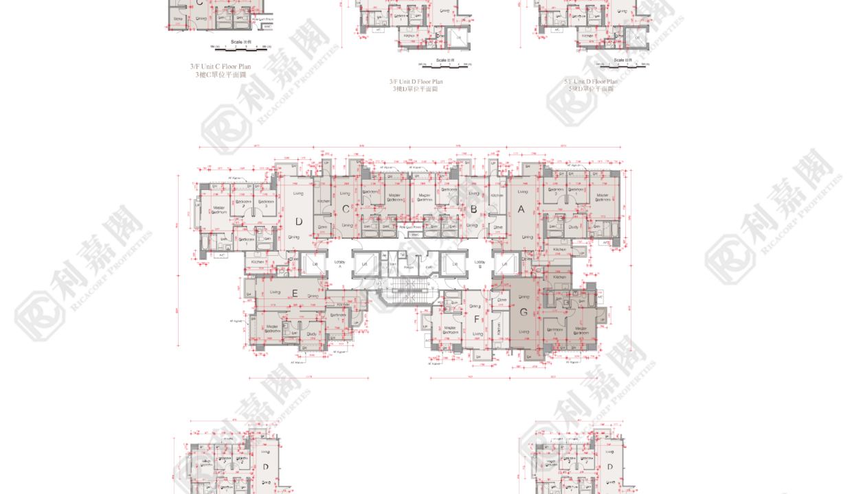 44646_2000_Ricacorp.png