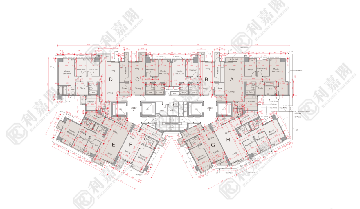 44648_2000_Ricacorp.png