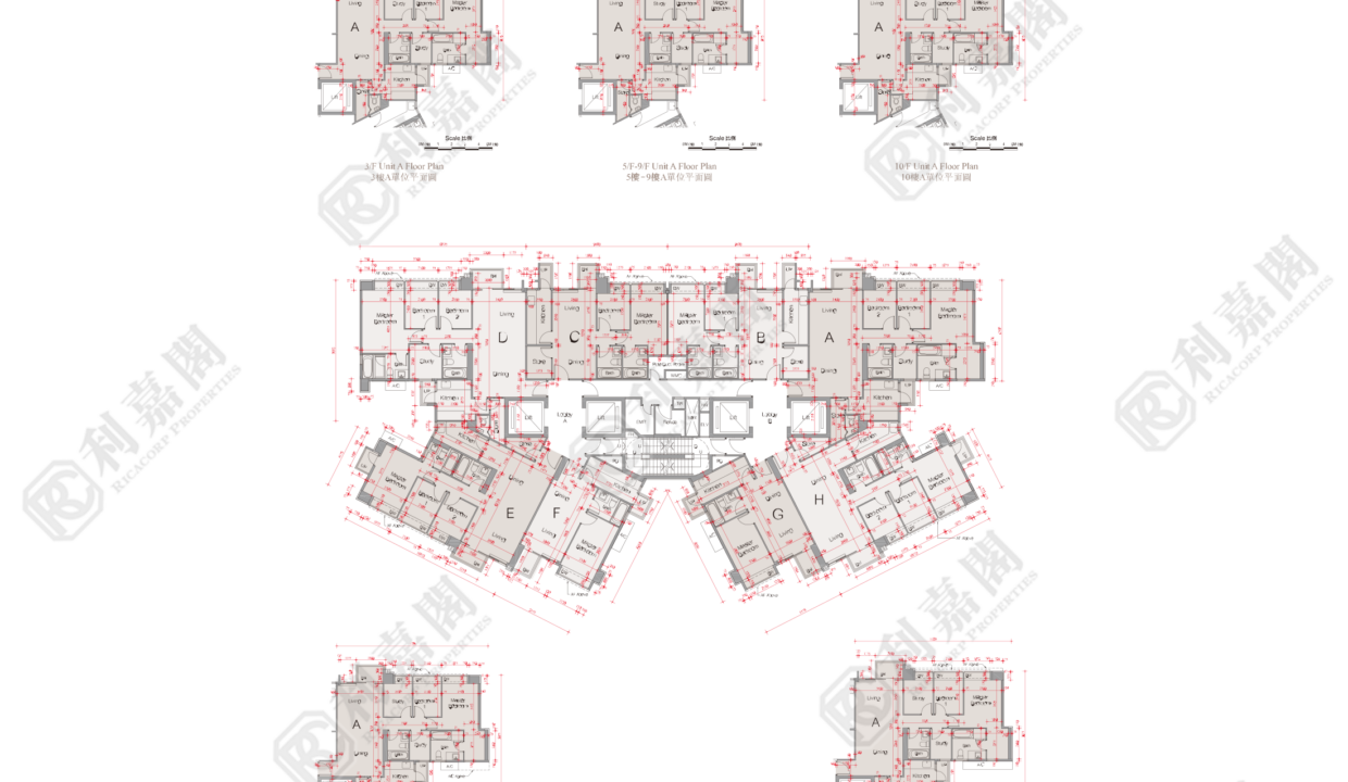44649_2000_Ricacorp.png