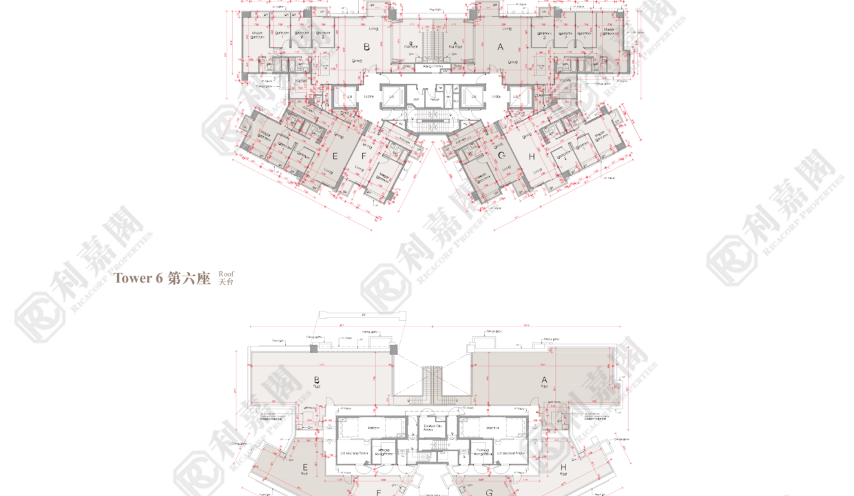 44666_2000_Ricacorp.png