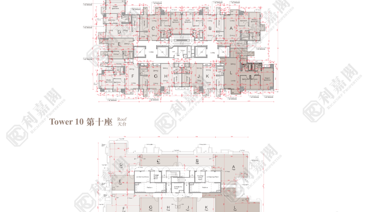 44670_2000_Ricacorp-2.png