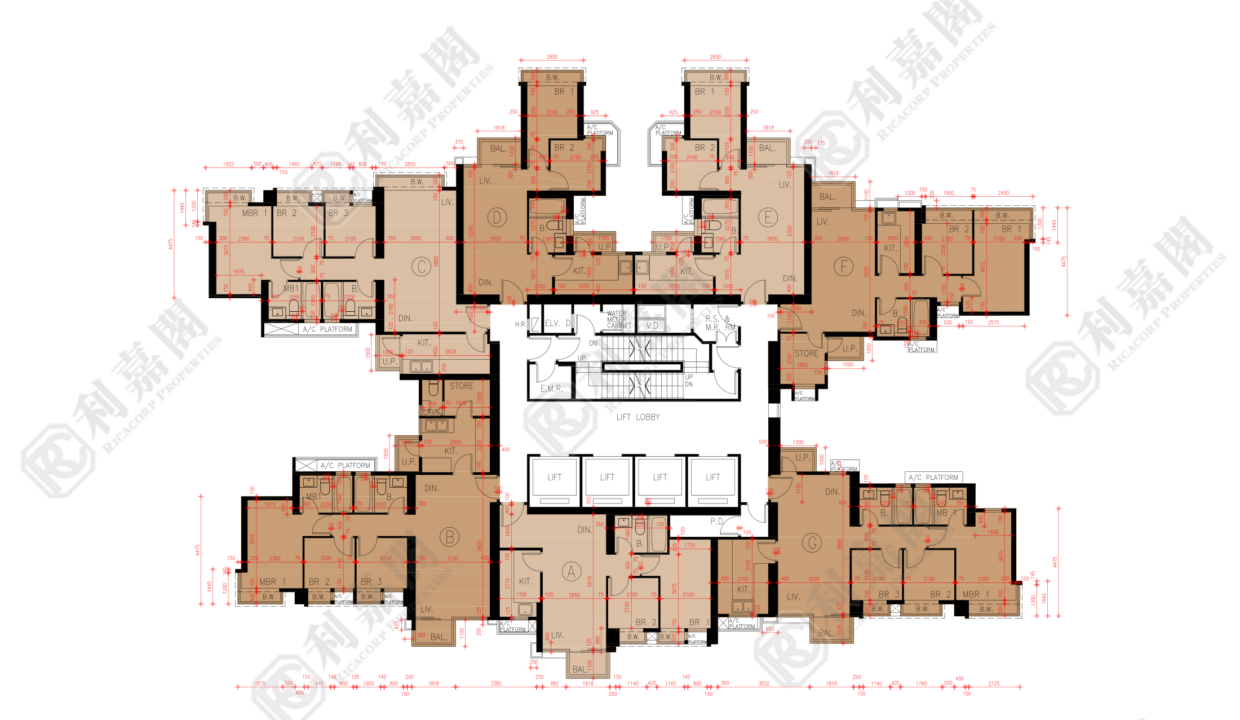 45005_2000_Ricacorp-4.png