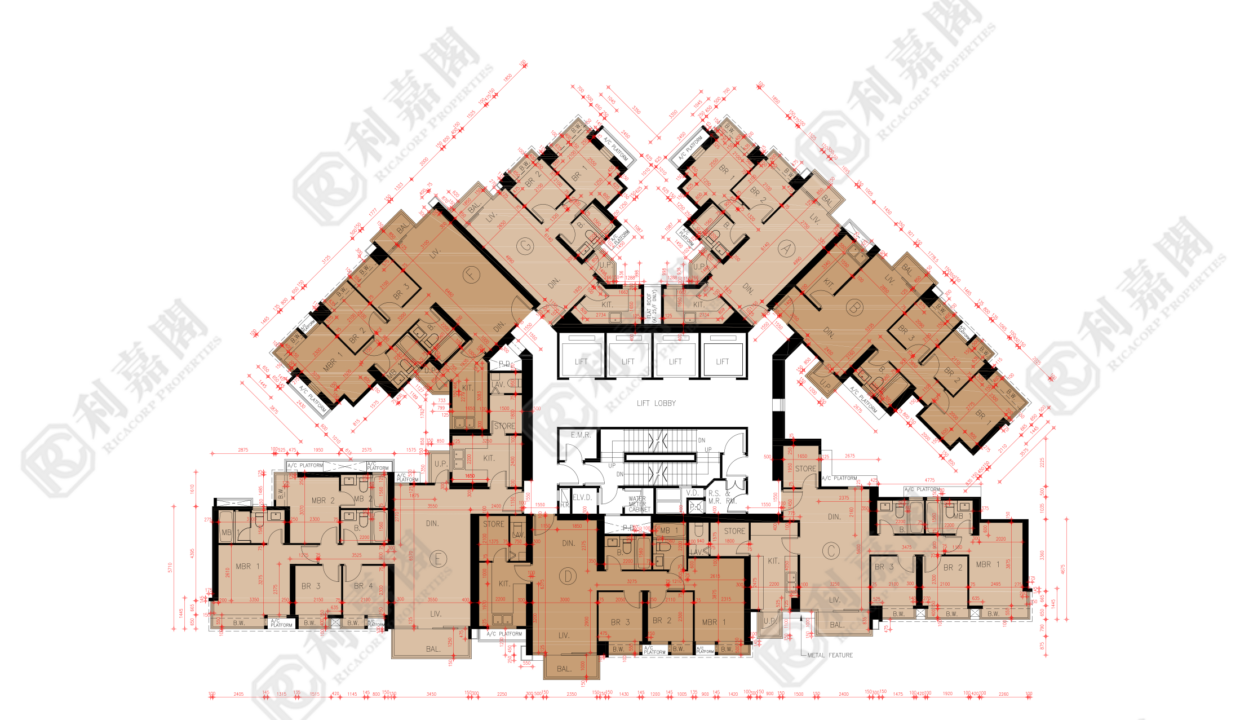 45011_2000_Ricacorp-4.png