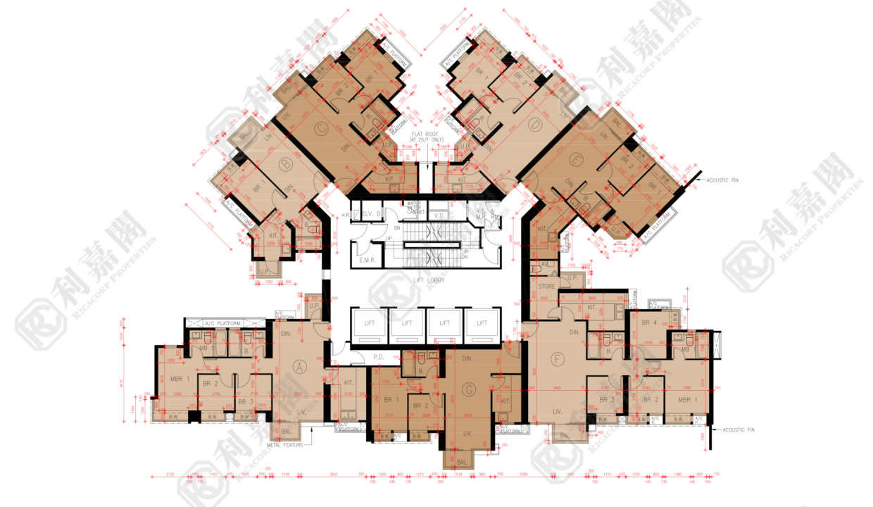 45024_2000_Ricacorp-2.png