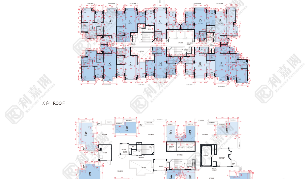 45071_2000_Ricacorp-3.png