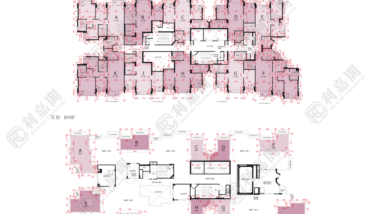 45073_2000_Ricacorp-1.png