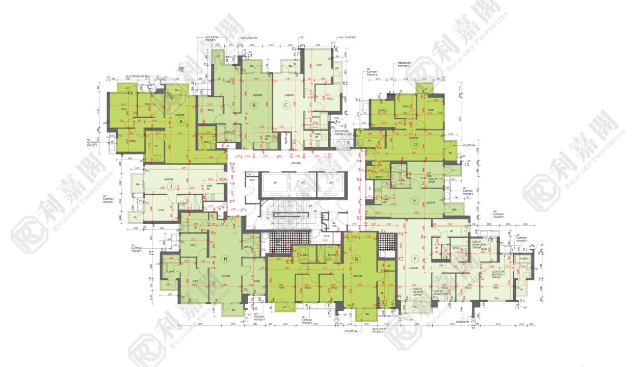 45166_2000_Ricacorp.png