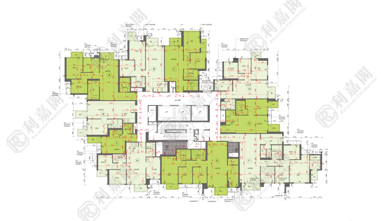 45168_2000_Ricacorp.png
