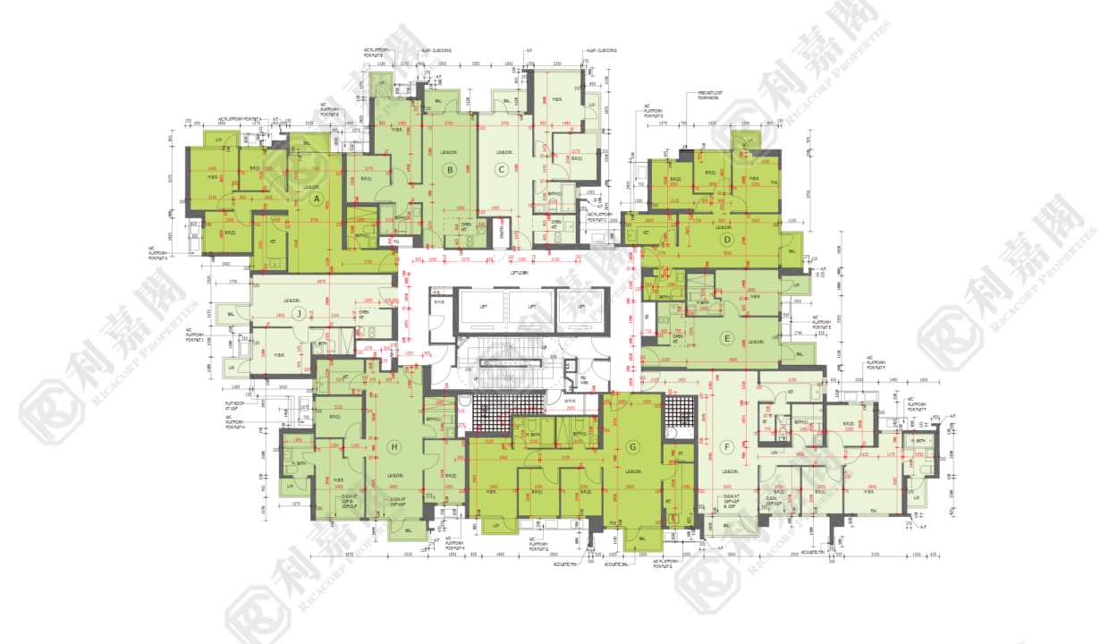 45170_2000_Ricacorp.png