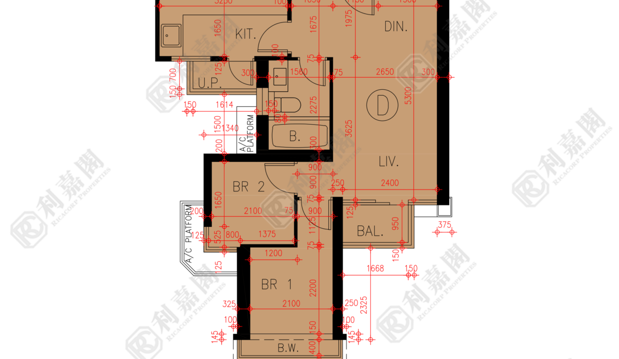 45609_2000_Ricacorp.png